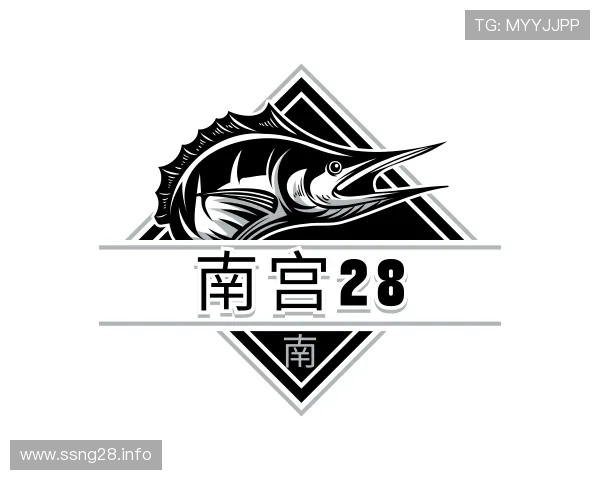 阐述南宫28